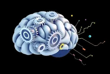 AI Brain Analysis